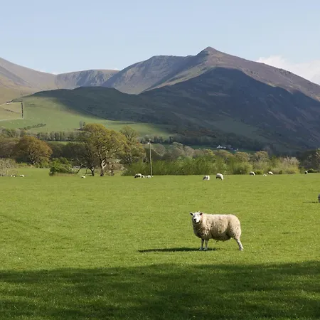 Ferienhaus Taylor's *